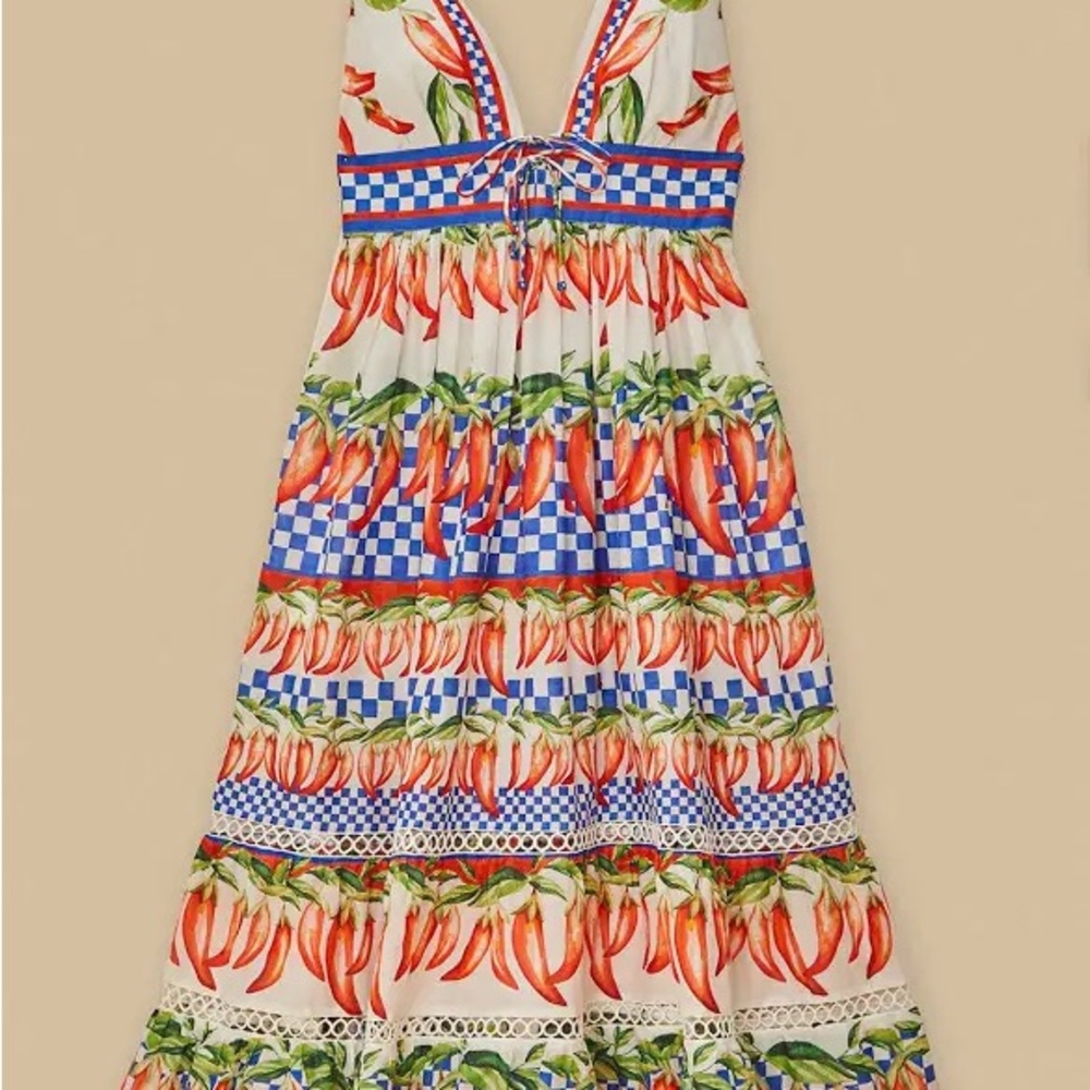 FARM Rio Picnic Peppers Ainika Midi Dress - Picture 7 of 12